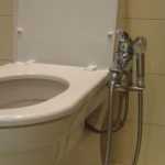Гигиенический душ "Грое": описание, монтаж, отзывы