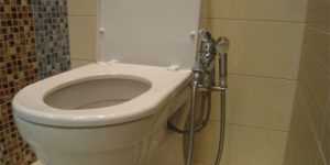 Гигиенический душ "Грое": описание, монтаж, отзывы